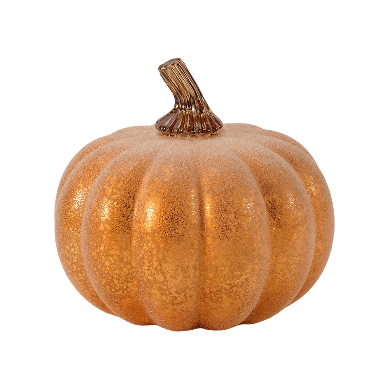 Velvet/Flocked Decorative Pumpkin with Glass Stem